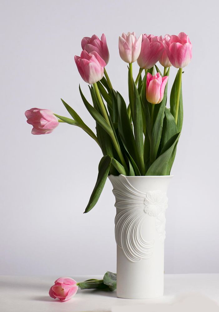 tulip rạng ngời với bình hoa sứ trắng cắm hoa với bình cắm hoa bằng sứ